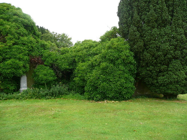 P1020076.jpg