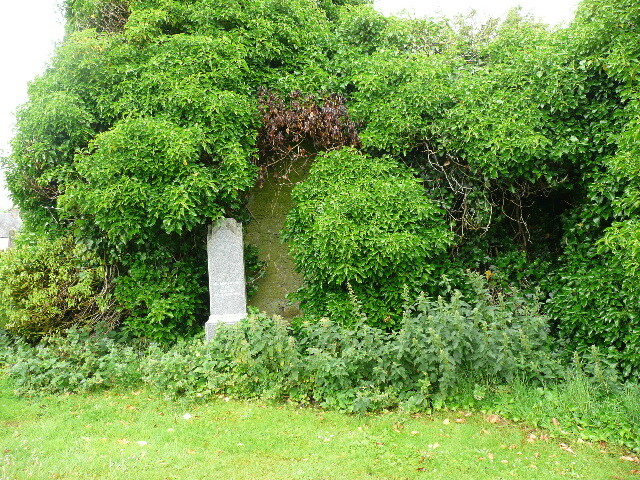P1020077.jpg