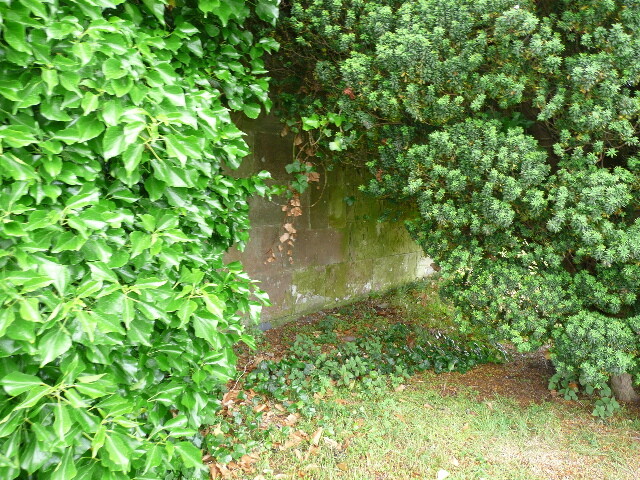 P1020078.jpg