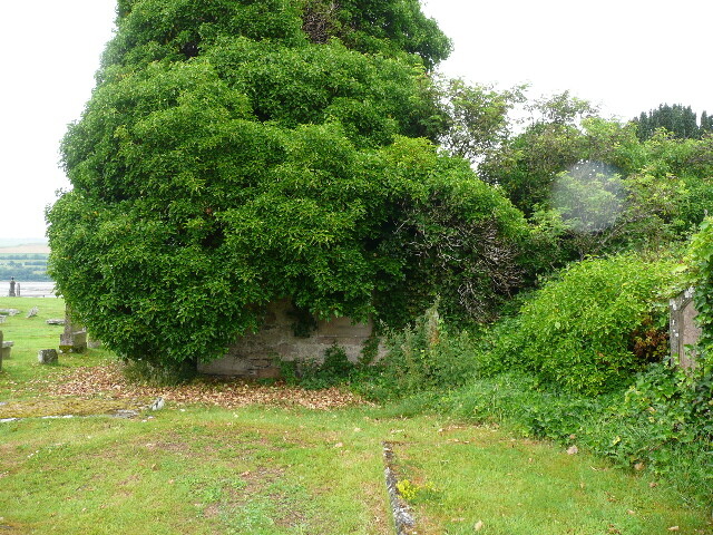 P1020085.jpg