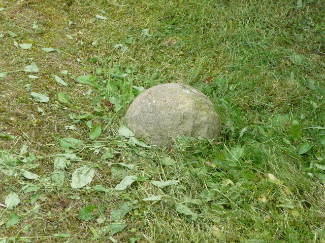P1010899.jpg