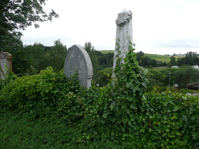P1010914.jpg