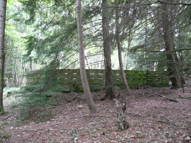 P1060321.jpg