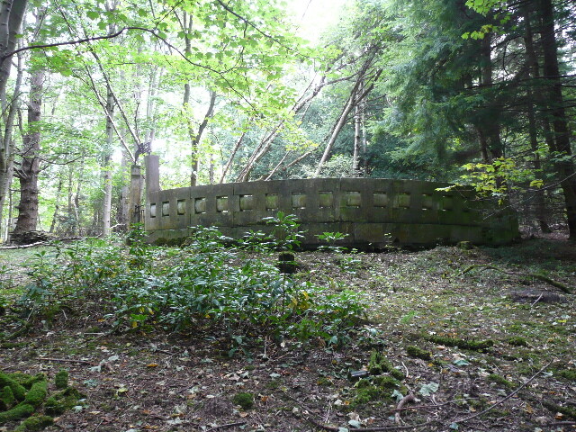 P1060322.jpg