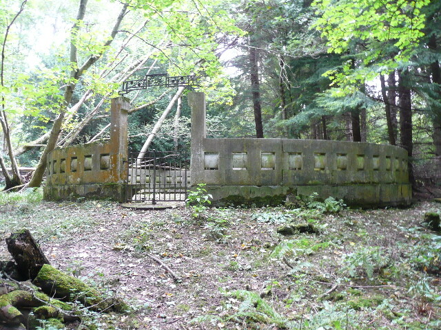 P1060325.jpg