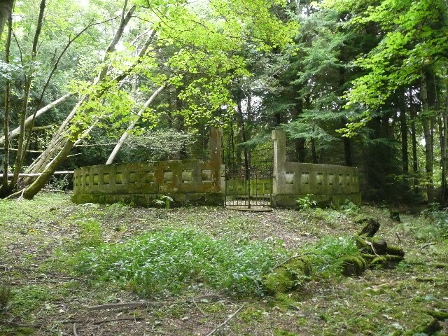 P1060328.jpg