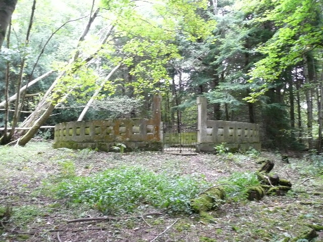 P1060329.jpg
