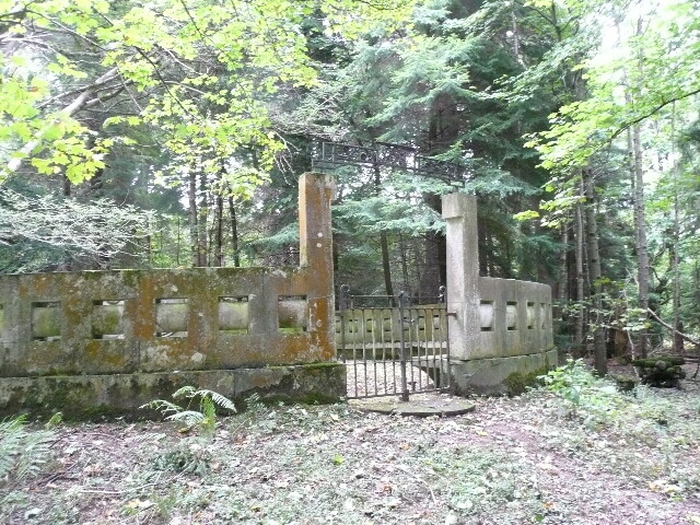 P1060331.jpg