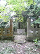P1060339.jpg