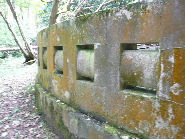P1060346.jpg