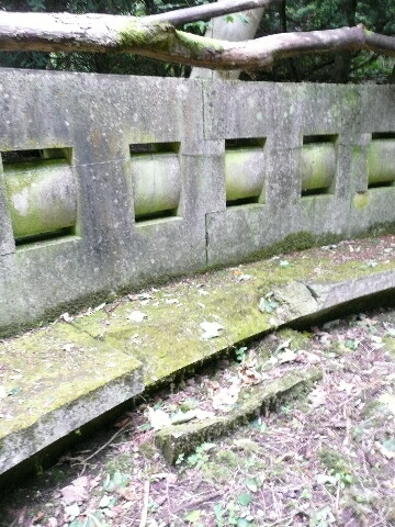 P1060360.jpg