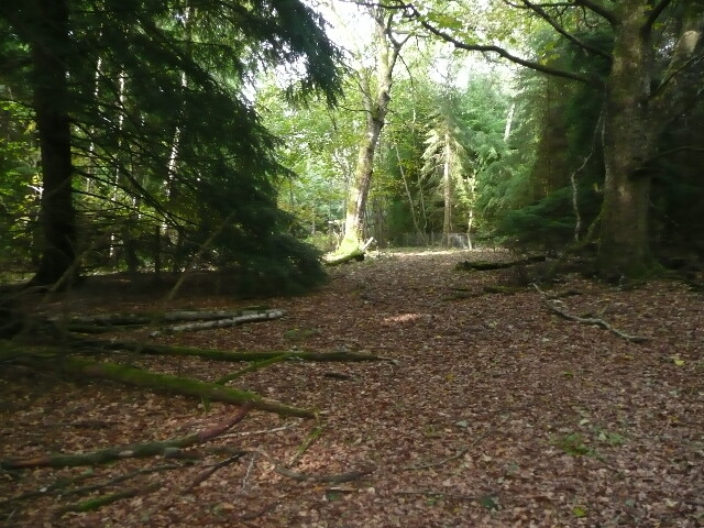 P1060434.jpg