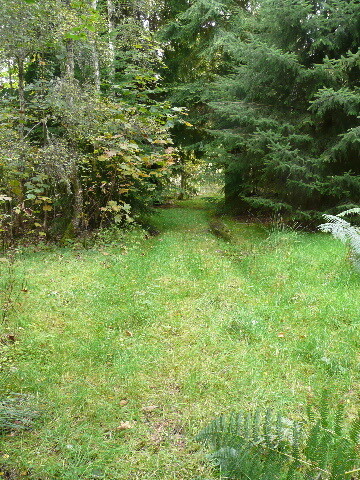 P1060435.jpg