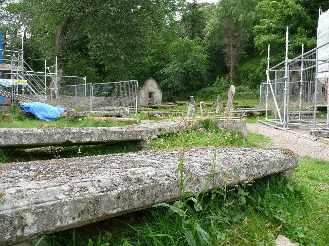 P1010650.jpg