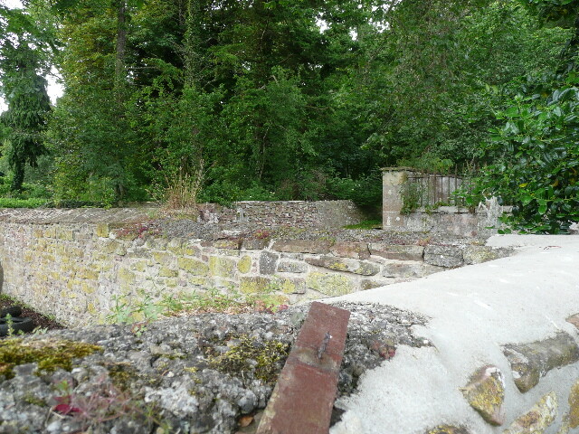 P1010654.jpg