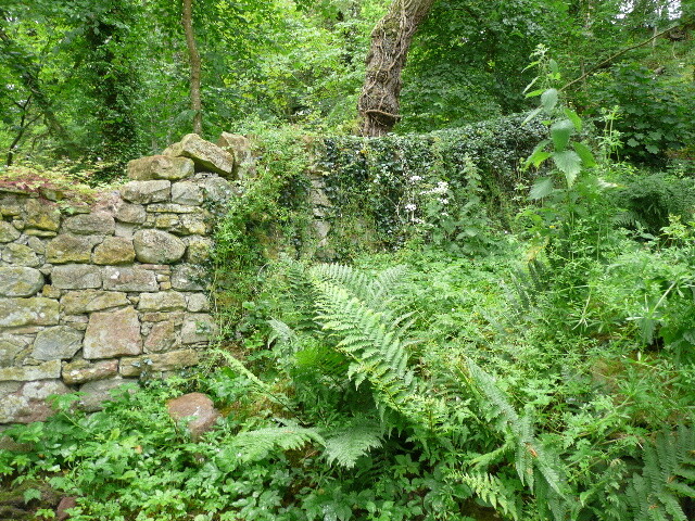 P1010660.jpg