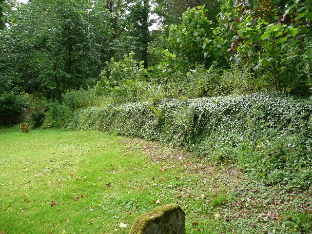 P1010669.jpg