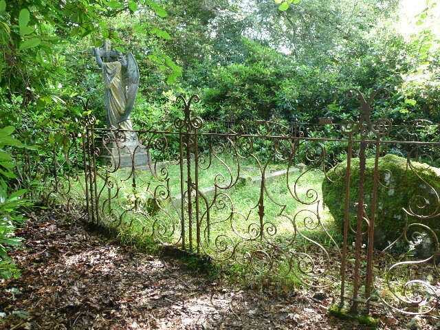 P1020554.jpg