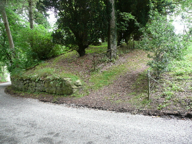 P1010735.jpg