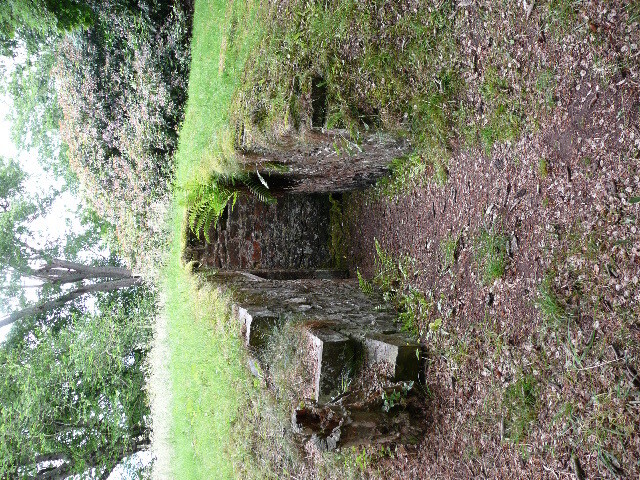 P1010745.jpg