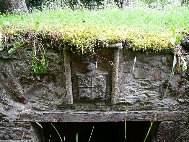 P1010746.jpg