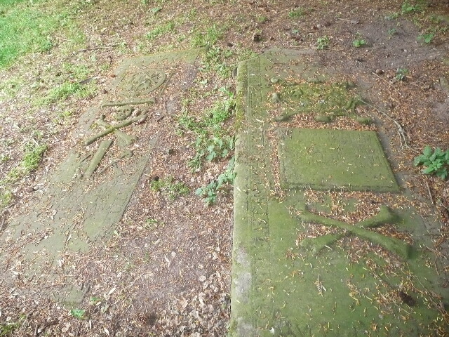 P1010760.jpg