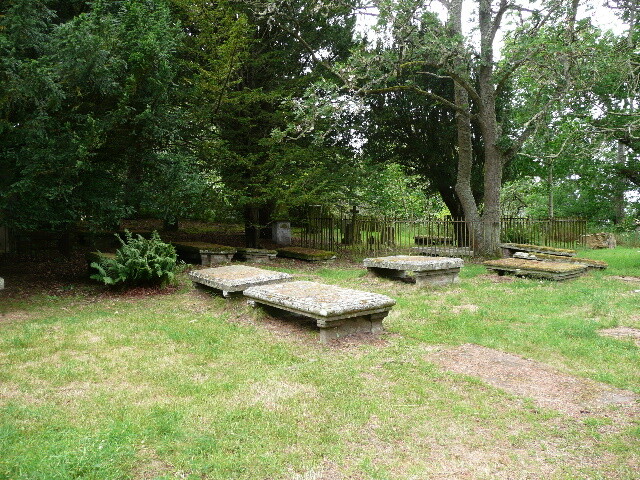 P1010785.jpg