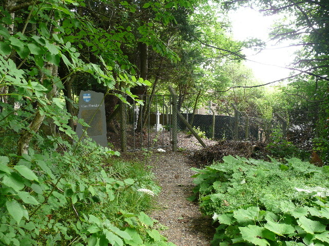 P1020986.jpg