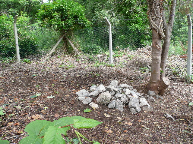 P1030001.jpg