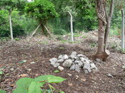 P1030001.jpg