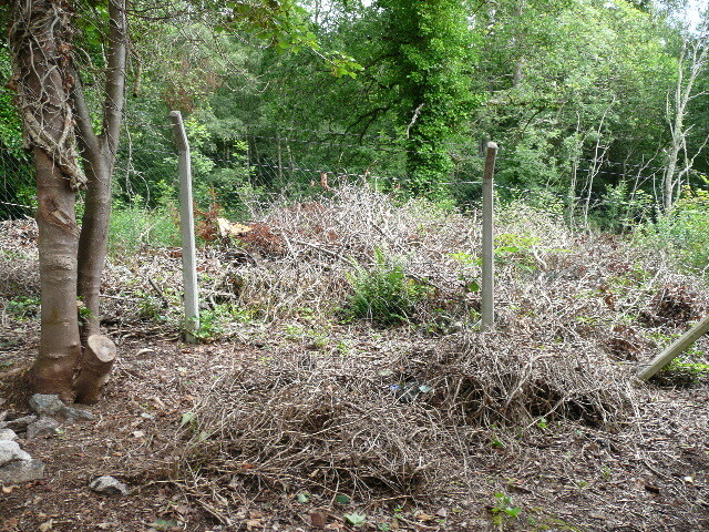 P1030002.jpg