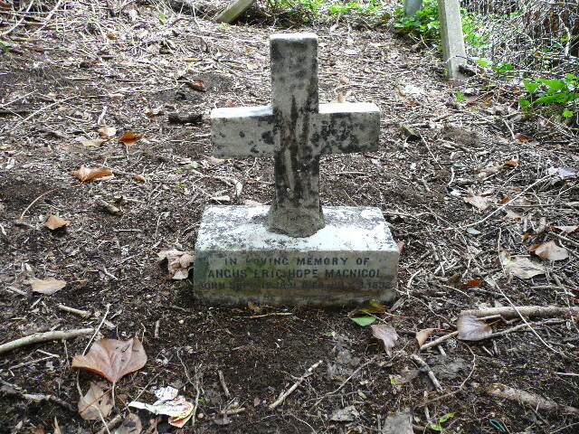 P1030003.jpg