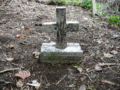 P1030003.jpg