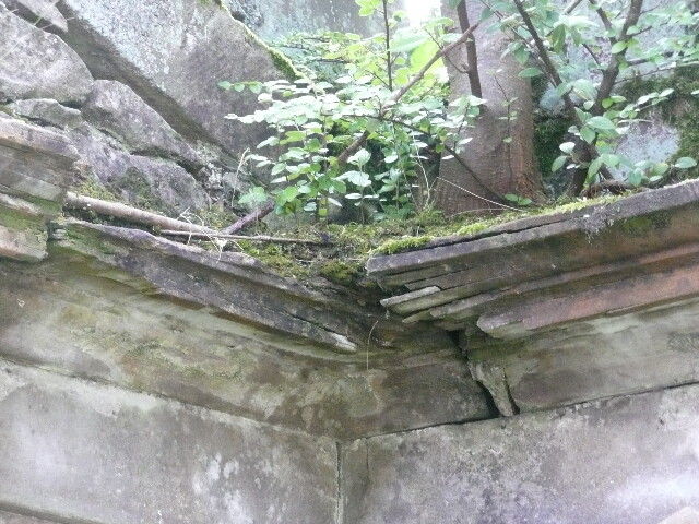 P1030547.jpg