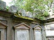 P1030550.jpg