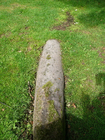 P1030646.jpg