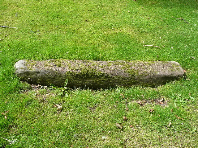P1030648.jpg