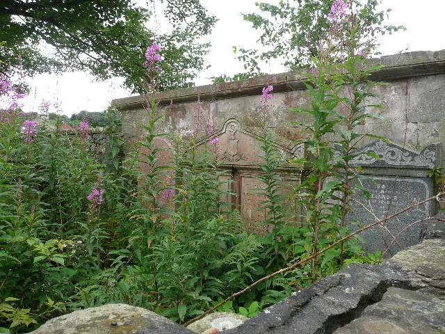 P1020920.jpg