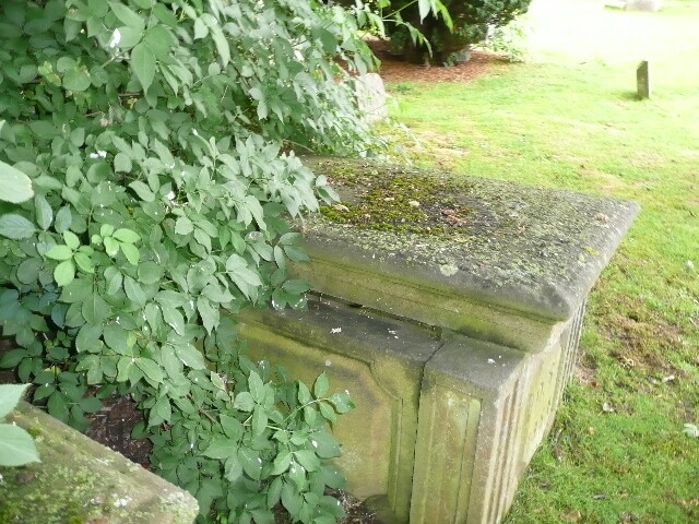 P1020929.jpg