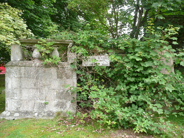 P1020933.jpg