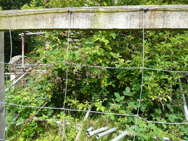 P1020980.jpg