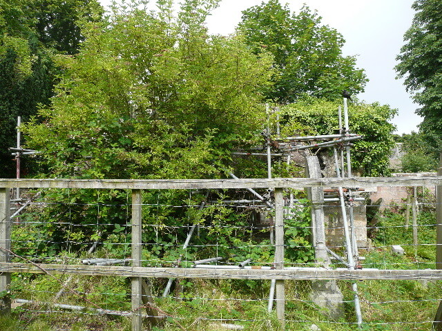 P1020981.jpg