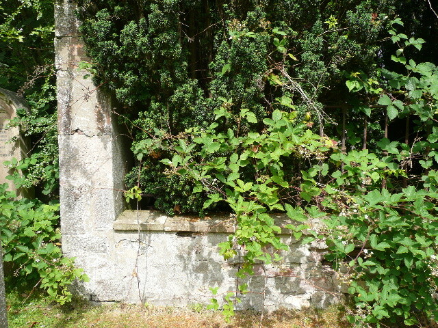 P1020985.jpg