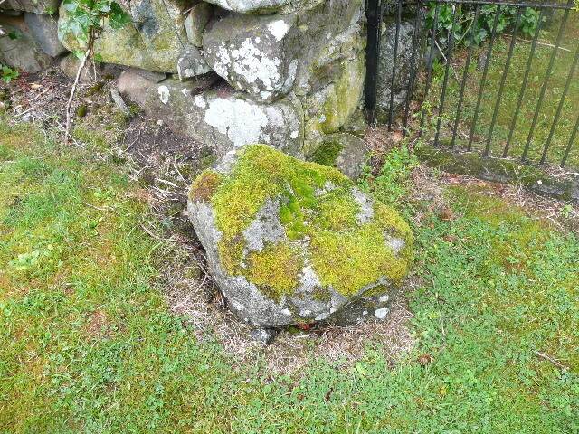 P1050375.jpg