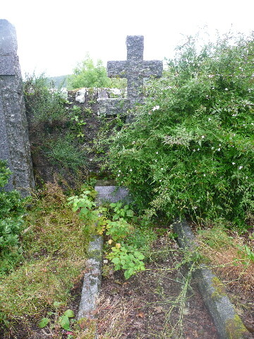 P1050390.jpg