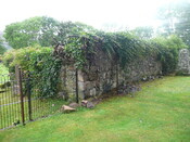 P1050414.jpg