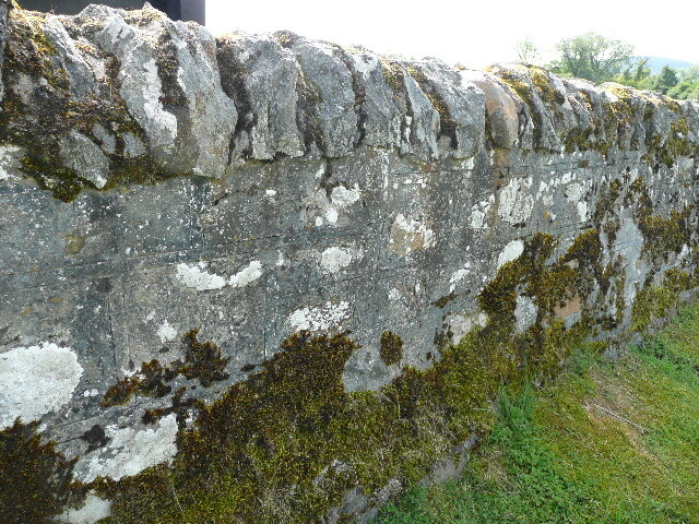 P1020613.jpg