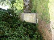 P1020637.jpg