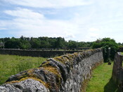 P1020657.jpg