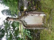 P1050900.jpg